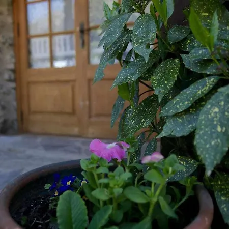 La Cabanya De Planes Un Petit Gran Espai Rocabruna