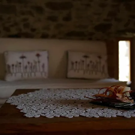 La Cabanya De Planes Un Petit Gran Espai Rocabruna